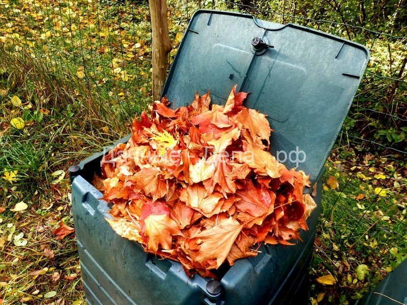 Самый полезный компост из опавшей листвы: хитрости приготовления