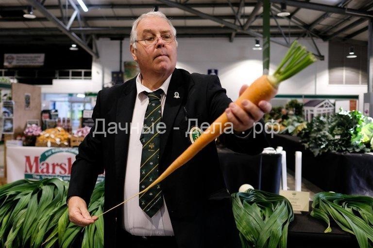 Битва великанов: гигантская тыква весом почти 300 кг победила в овощном конкурсе в Британии