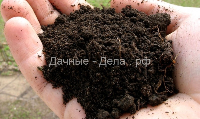 Очищаем почву для рассады