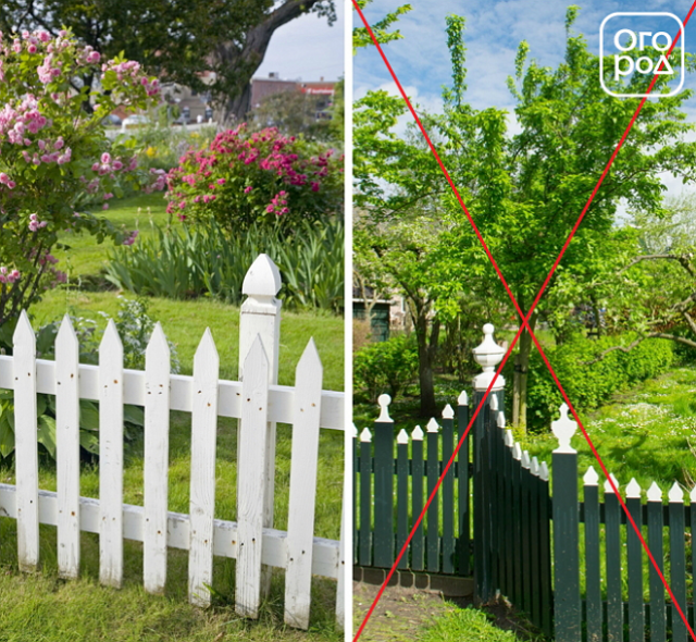 Как "заставить" маленький сад выглядеть больше – 7 главных правил