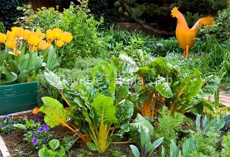 Красивый огород своими руками — как сделать красивые грядки