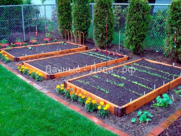 Чередование овощных культур на огороде - Огород, сад, балкон - медиаплатформа МирТесен