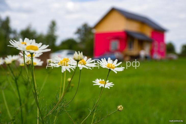 Белорус сам возводит каркасный дом и рассчитывает уложиться в $20 000