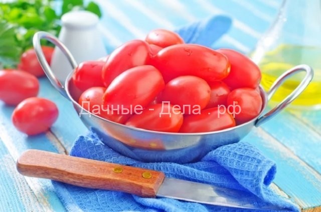 Самые неприхотливые сорта томатов
