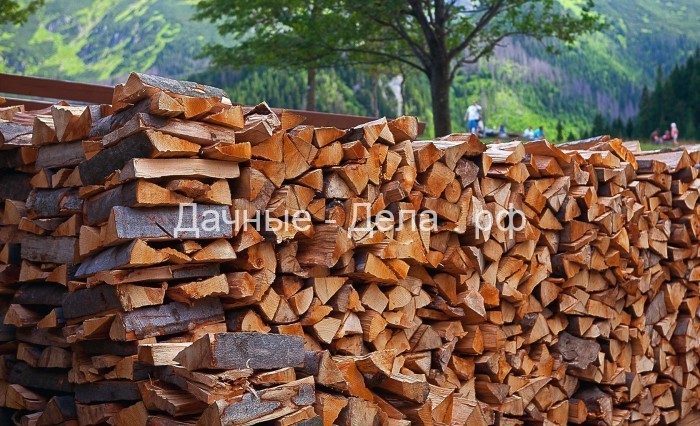 Почему одни дрова дают больше тепла, чем другие: как выбрать правильные