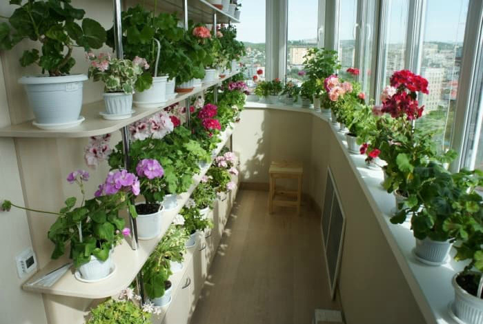 16 восхитительных примеров того, как заставить балкон зазеленеть