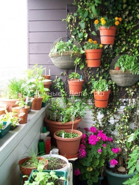 Идеи превращения балкона в цветущий сад