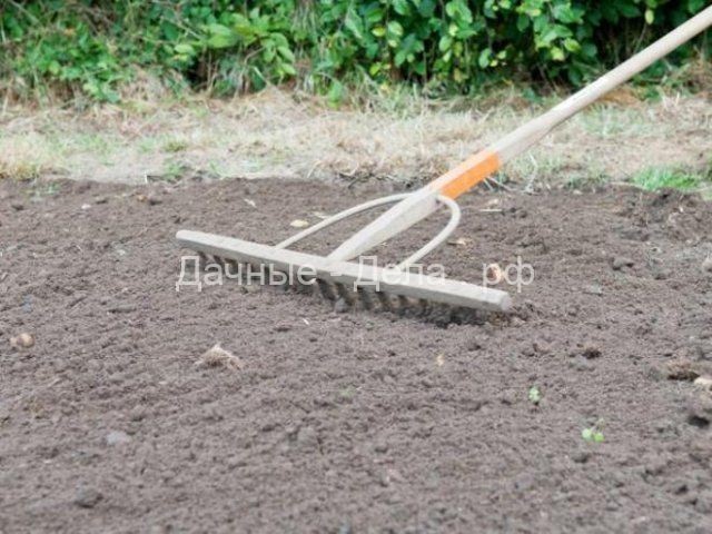 Копать или не копать: вся правда о частой перекопке почвы