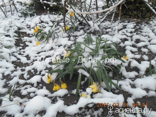 31 марта, весна-зима