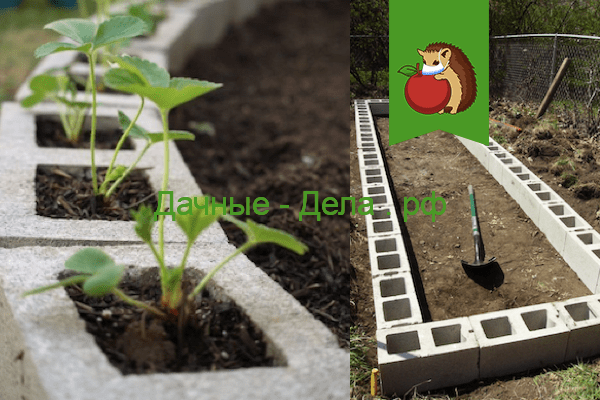 Интересные варианты посадки клубники: как увеличить урожай не занимая новых грядок