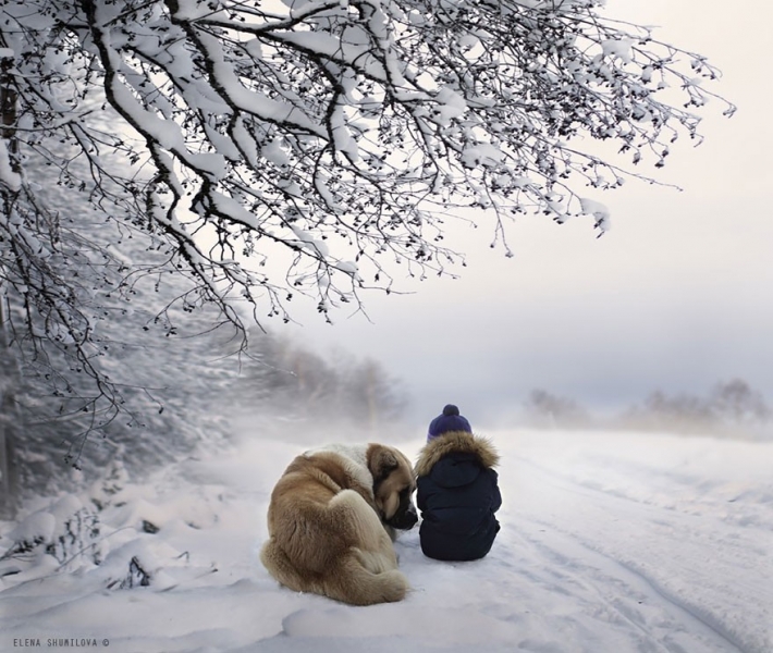 Россиянка создает потрясающие фотографии своих детей с животными в деревне