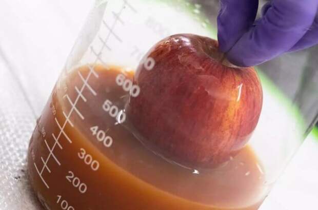 Учёные придумали способ продлить срок хранения фруктов