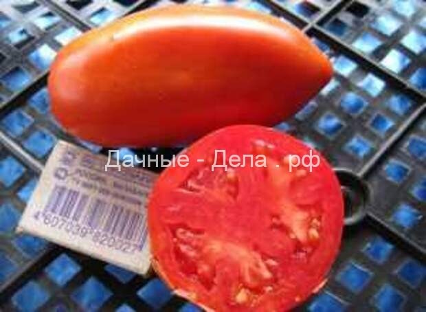 Сорта томатов: отбираем самые лучшие