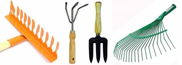 5 инструментов, которые должны быть у каждого цветовода