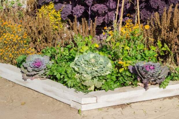 15 универсальных приемов для создания роскошного сада