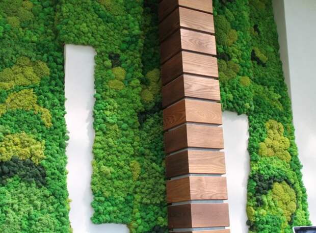 Озеленение стен стабилизированным мхом