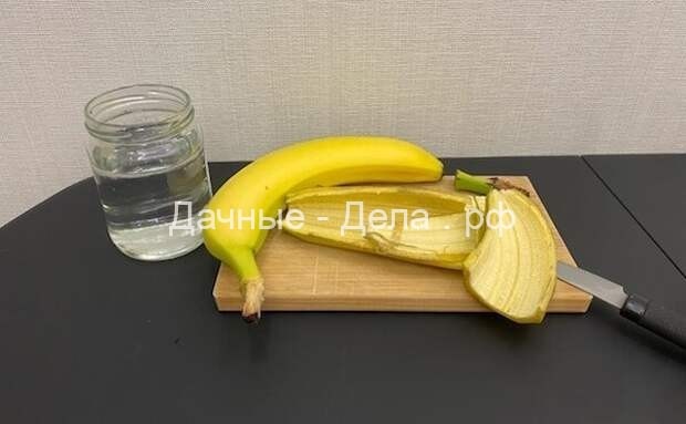 Банановая кожура не только для подкормки растений, но и для протирания листьев: зачем и что даст такая процедура