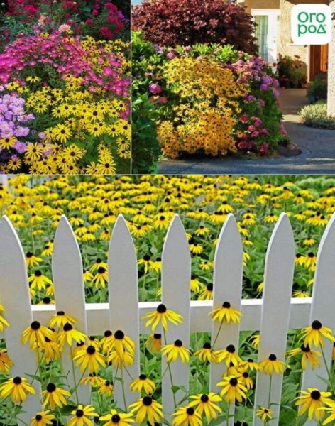 Запустите солнце в сад – ландшафт в желто-золотом стиле