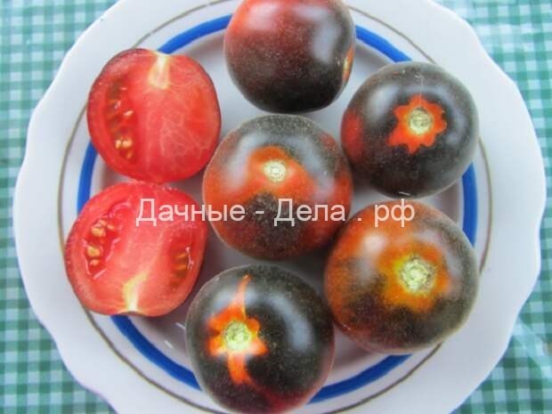 Пушистые сорта томатов – 7 вариантов для теплицы и открытого грунта