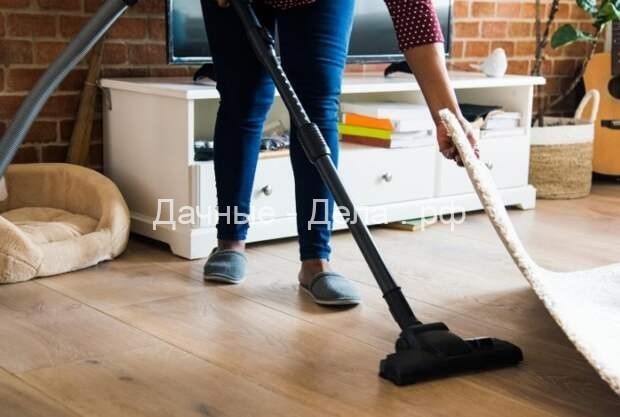 Шерсть домашних питомцев: как очистить от неё своё жилище?