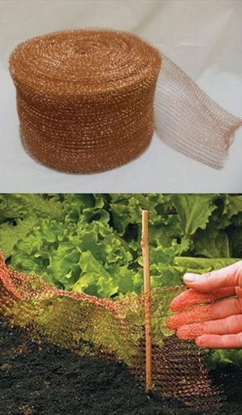Как защитить ваши растения от улиток