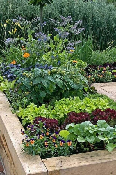 Новые подходы к выращиванию овощей и фруктов в саду