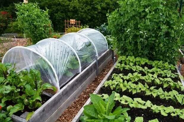 Отличные идеи для сада и огорода, которые облегчат работу