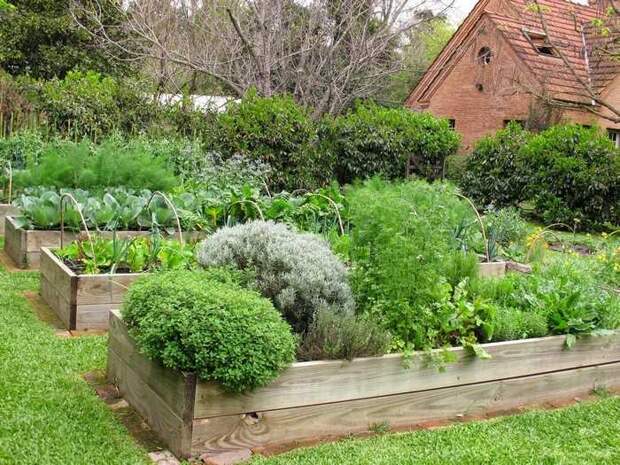 Новые подходы к выращиванию овощей и фруктов в саду