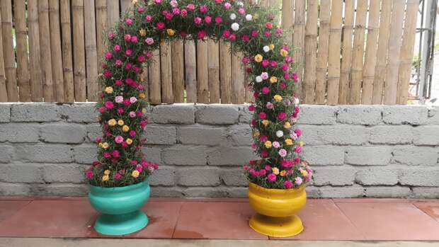 Как легко создать цветочную арку в саду
