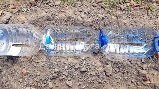 Красота на участке из 5-литровых пластиковых бутылок
