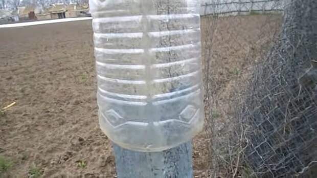 Забор на дачу из пластиковых бутылок: пошаговое изготовление