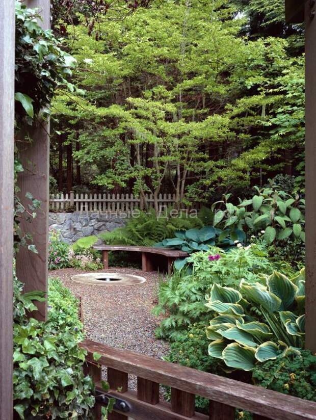 Хоста в ландшафтном дизайне: особенности ухода и гармоничные композиции для сада