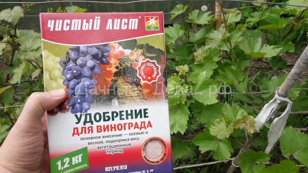 Чем подкормить виноград весной для хорошего урожая