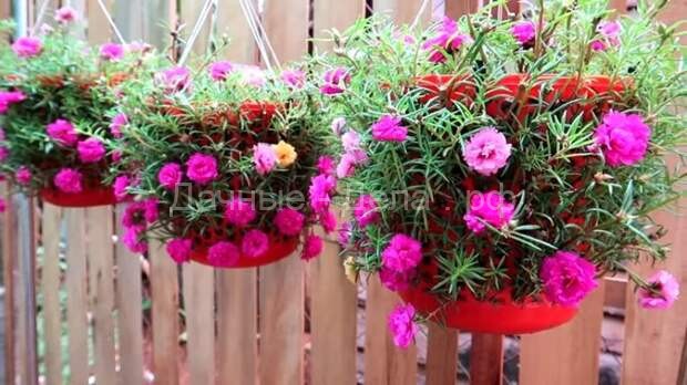 Висячий сад с цветами из пластиковых ведер своими руками