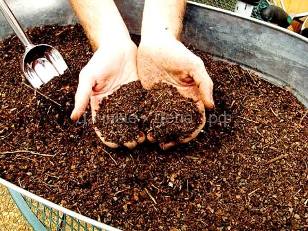 Приготовление компоста – все аспекты (сырье, влажность и пр.)
