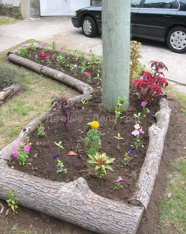 Прекрасные идеи для обрамления садовых грядок