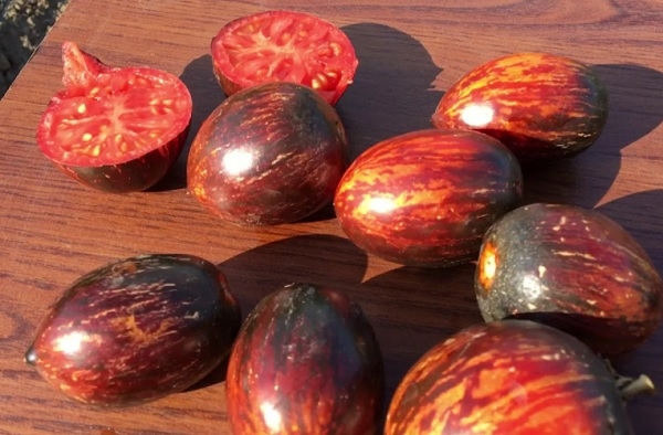 7 сортов помидоров, не оправдавшие ожидания: антирейтинг томатов по отзывам огородников