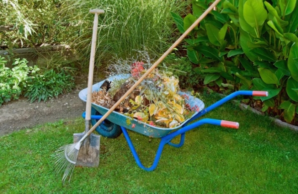 Почему так важно убирать растительные остатки с огорода осенью