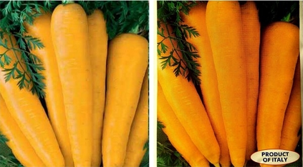 5 самых сочных и сладких сортов моркови