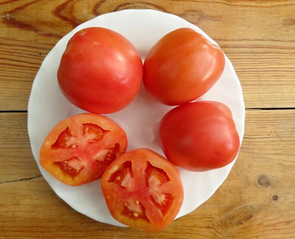 «Посадил и до сбора урожая забыл»: 7 неприхотливых сортов помидоров