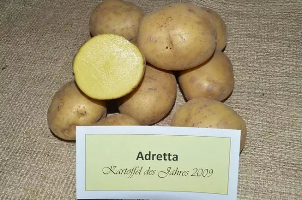 Картофель Адретта (Adretta): описание сорта, фото, отзывы, посадка и уход